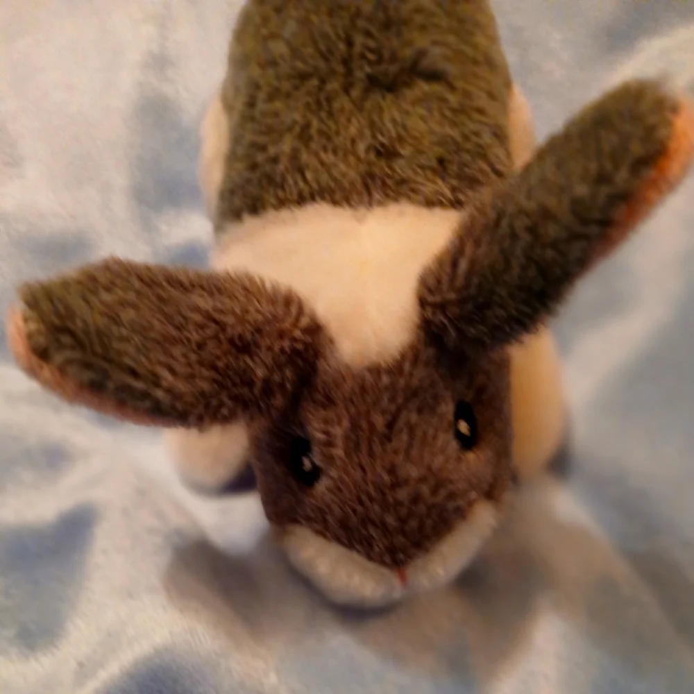 2/$5 Peter Rabbit